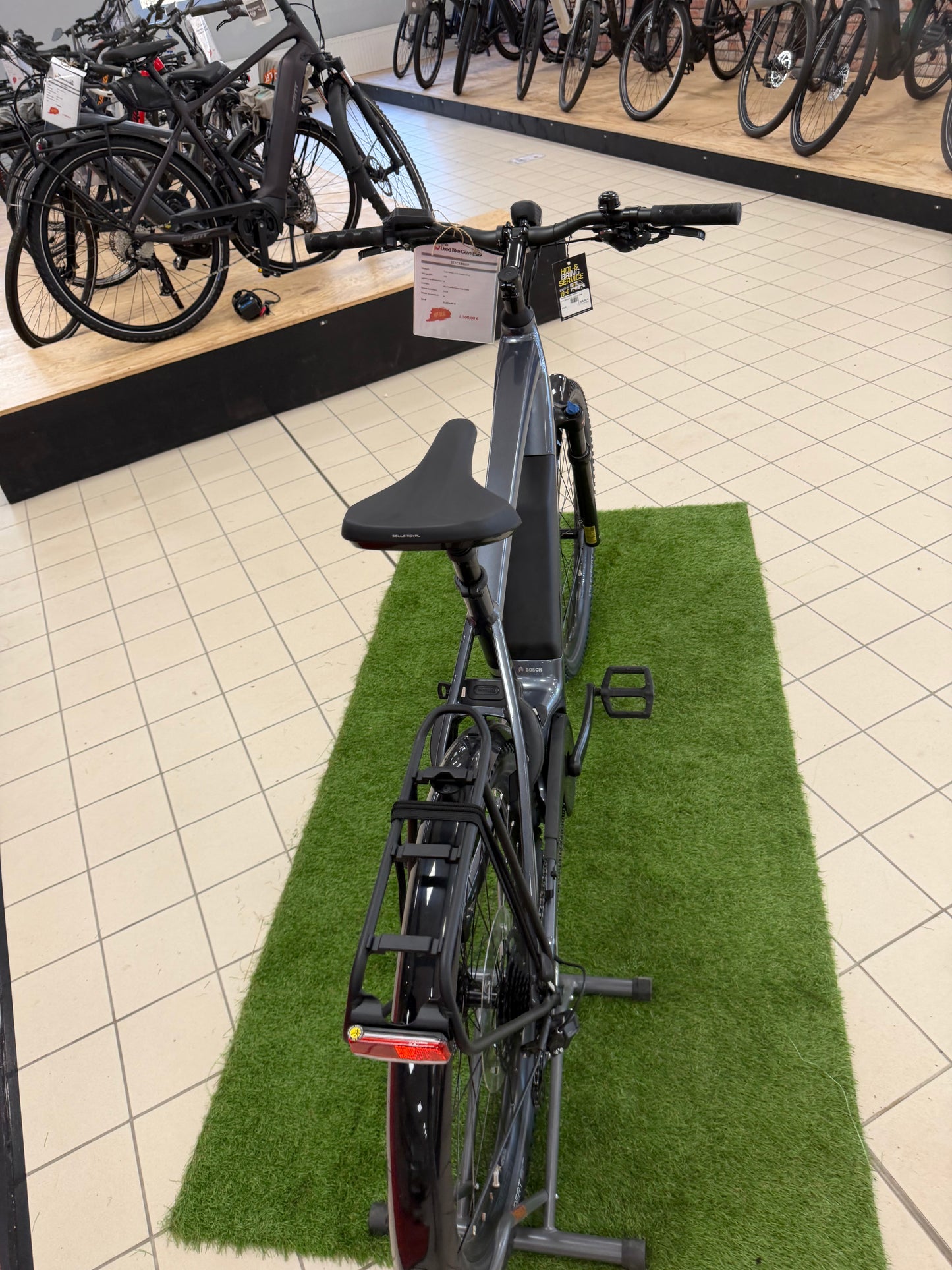 Trek Verve + 4